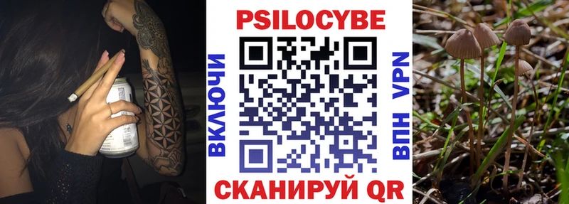 Псилоцибиновые грибы мухоморы  продажа наркотиков  Пятигорск 